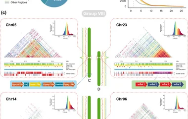 a Composition of the P. amurense genome. b Comparative analysis of LTR insertion times across different families in P. a