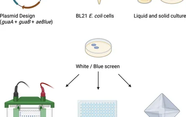 四百个合成生物学项目齐聚巴黎