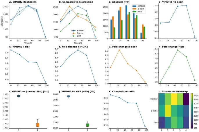 qPCR validation of temperature-dependent YlMDH2 expression dynamics in Yarrowia lipolytica .( A ) Line plots of three biological replicates of YlMDH2 show variability over the time course. ( B ) Mean ± SD line plots compare the dynamics of all three genes. ( C ) Absolute transcript per million (TPM)