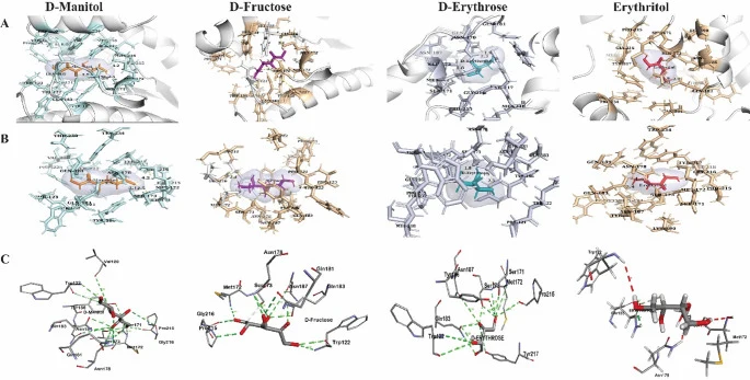 Structural basis of YlMDH2 substrate specificity. Docking of YlMDH2 with D-mannitol, D-fructose, D-erythrose, and erythritol shows overall protein-ligand complexes (row A ), surface-covered active site interactions highlighting catalytic residues Gln183, Ser173, Ser171, Asn178 (row B ), and detailed