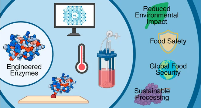 Synthetic Biology Approaches to Enzymology in Food and Agric