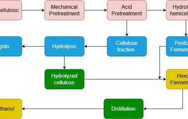 A flowchart for bioethanol production from lignocellulosic biomass waste.