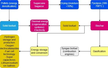 A flowchart illustrating two pathways for energy utilization from sugarcane bagasse.