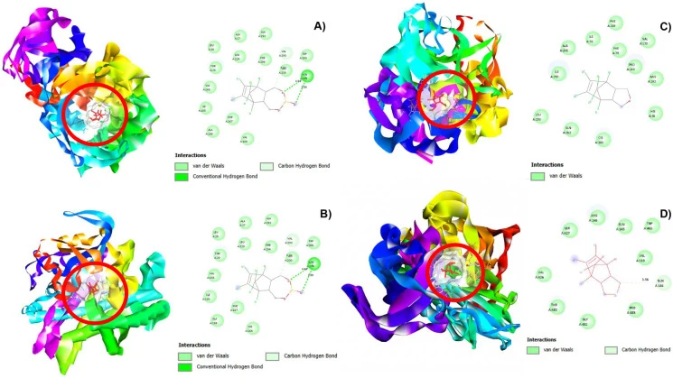 Interactions between endosulfan and its metabolites with the enzymes by molecular docking. The enzyme-binding sites are represented as solid surfaces coloured in white. The enzymes binding sites are represented as solid surfaces using BIOVIA Discovery Studio to visualize specific residues and bondin