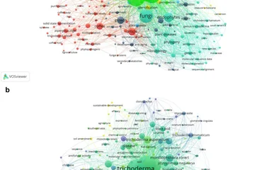Conceptual structure of research on Trichoderma spp. in coffee and cacao agroecosystems. (a) Keyword co-occurrence map.