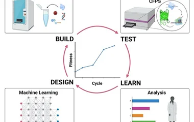 Design-Build-Test-Learn cycle involving machine learning. The figure illustrates the iterative cycle, comprising four st