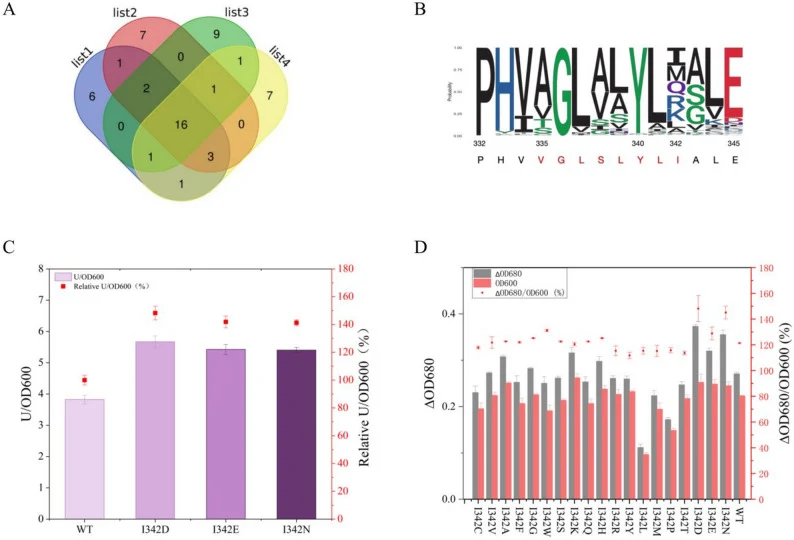 Deep learning expression modeling-guided mutagenesis for enhanced PrtA protein production. A Venn analysis of predicted high-scoring mutants. B Conservation analysis of mutation regions. C Expression analysis of PrtA and mutants (red dots of ΔA680/OD600 represent the enzyme production ability of Prt
