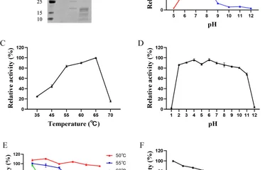 从定点突变到15升发酵罐