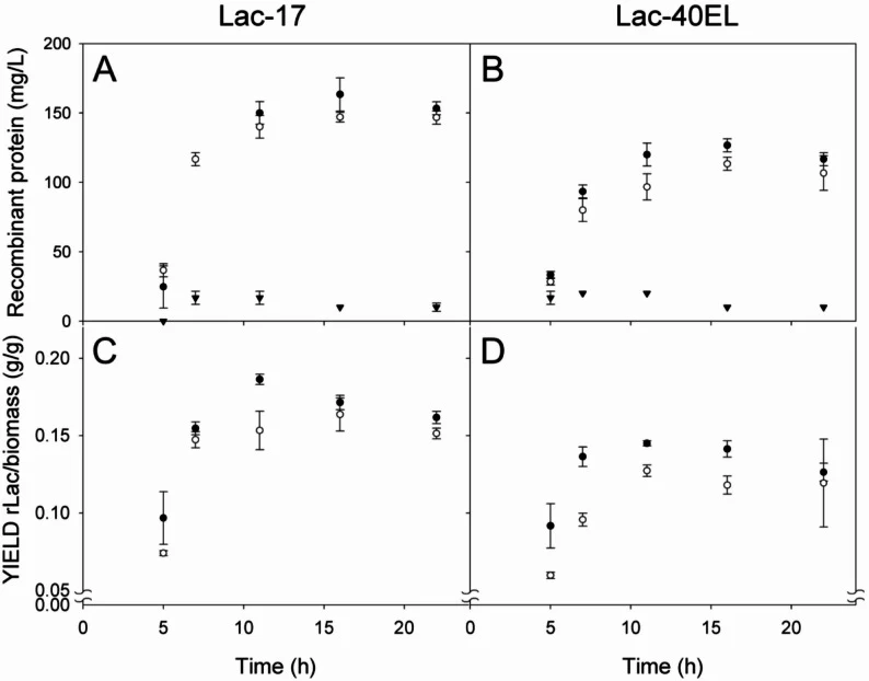 Kinetic protein accumulation of the recombinant laccase proteins Lac-17 ( A ) and Lac-40EL ( B ) on the total ( closed dots ), insoluble ( open dots ), and soluble protein ( triangles ) in cultures. Kinetic yield of the recombinant laccase proteins Lac-17 ( C ) and Lac-40EL ( D ) over biomass on the