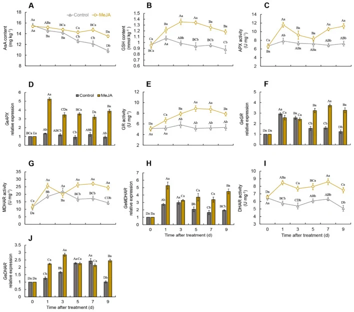 Changes in ascorbic acid (AsA) (A) and glutathione (GSH) (B) contents. and the activities and expressions of ascorbate peroxidase (APX) (C, D) , glutathione reductase (GR) (E, F) , monodehydroascorbate reductase (MDHAR) (G, H) , and dehydroascorbate reductase (DHAR) (I, J) in Gastrodia elata after m