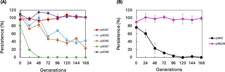 Plasmid persistence in T. thermophilus . ( A ) pIOK series. ( B ) pSN2 series. Transformed cells were cultivated at 70°C in TR broth (without Hg). The doubling time for each mutant was approximately 1 h ( Fig. S2 ), and the number of generations was considered equal to the cultivation time. Every 24
