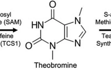 Utilizing a cell-free protein synthesis platform for the biosynthesis of a natur