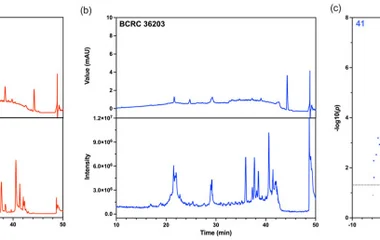 Enhanced Production and Profiling of Ganoderic Acids in Ganoderma lucidum Myceli