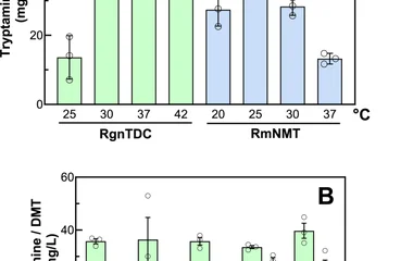 In vivo optimisation of temperature and pH for tryptamine and DMT production in recombinant E. coli . (A) Effect of incu