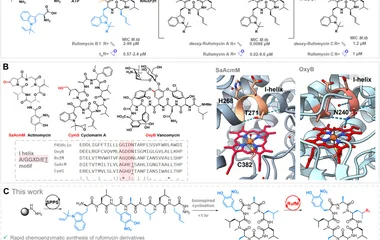 仿生环化破解鲁福霉素生物
