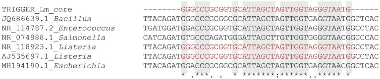 Multiple sequence alignment of the 36-nt trigger of toehold B against representative V2-V3 16S rRNA sequences. The trigg