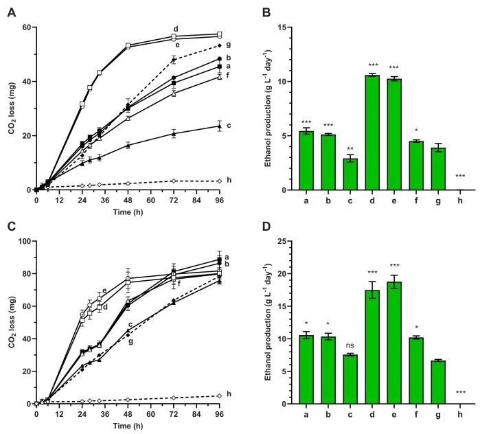 Saccharomyces cerevisiae fermentation of glucose (A and B) or wheat straw hydrolysate (C and D) supplemented with different Synechococcus hydrolysates (0.5% w/v) depicted as CO 2 -loss profiles (A and C) and the ethanol production rates in the first 24 h (B and D). Fermentations #g and #h refer to f