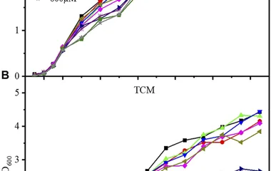 Growth curves of the two WCB sensor strains at various Cd 2+ concentrations. (A) Without negative feedback, WCB CM; (B)