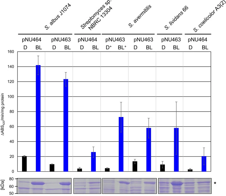 Functionality of the iLiEX-i system in Streptomyces model strains. Transformants of S. albus J1074, Streptomyces sp. NBRC 13,304, S. avermitilis MA-4680, S. lividans 66, and S. coelicolor A3(2) harboring the iLiEX-i system with gus were cultured with shaking for 48 h under dark (D) and blue light (B