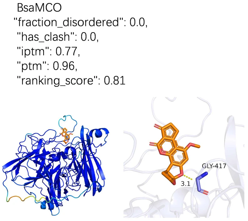 AlphaFold3-predicted BsaMCO–AFB1 Complex. (The model quality is supported by several AlphaFold3 metrics: fraction_disordered reflects the proportion of predicted disordered regions, indicating potential flexible or unstructured areas; has_clash evaluates the presence of steric atomic clashes in the