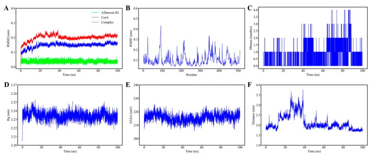 BsaMCO–AFB1复合物稳定性的分子动力学表征。(A) 蛋白质主链、游离AFB1及BsaMCO–AFB1复合物的RMSD分析;(B) BsaMCO残基的RMSF分析;(C) BsaMCO–AFB1复合物的氢键分析;(D) BsaMCO–AFB1复合物的Rg分析;(E) BsaMCO的SASA分析;(F