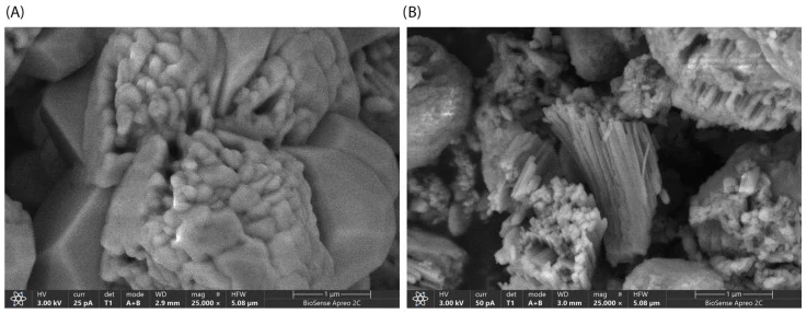 ZIF-zni 和 GOx@ZIF-zni 生物复合材料的 SEM 图像,使用 20 mM Zn²⁺ 和 Zn:Im 比为 1:50 制得,