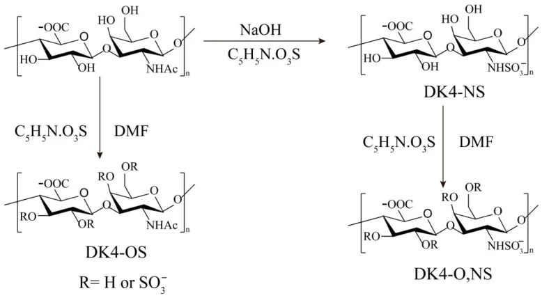 硫酸化DK4衍生物(DK4-OS、DK4-O、NS和DK4-NS)的合成路线。