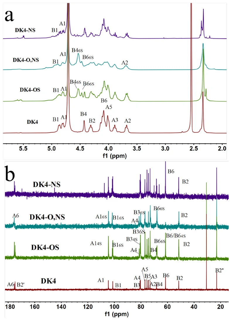 1 HNMR spectra ( a ) and 13 C NMR spectra ( b ) of DK4 and its derivatives, including DK4-OS, DK4-O,NS, and DK4-NS in D 2 O at 60 °C (from bottom to top). The 1 H and 13 C NMR spectra of DK4 replotted from the dataset reported previously [ 26 ].