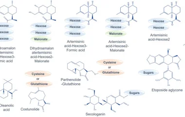 Induction of diverse detoxification mechanisms in Nicotiana benthamiana during the ectopic production of bioactive compo