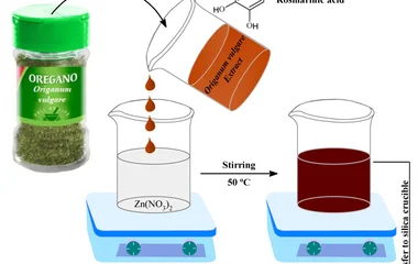 Reaction scheme for the synthesis of ZnO NPS.