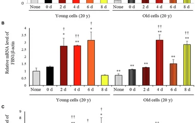 Relative mRNA expression levels of (A) COLA1, (B) FBN1, and (C) ELN in primary normal human dermal fibroblasts (HDFS) in