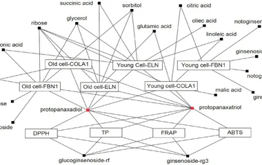 代谢物与生物测定之间的相关网络。方框：代谢物；椭圆：生物测定。