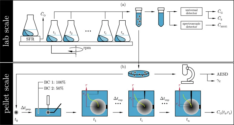 Flow diagram of the multiscale experiments: a Online measurement of DOT and offline analysis of the concentrations of substrates and products at the lab scale, and b cell counting, morphology analysis, and oxygen profiling at pellet scale. Abbreviations: SFR: shake flask reactor, : glycerol concentr