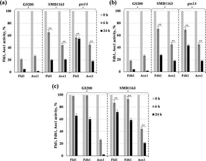 Relative activity (%) of Fld1 ( a ), Fdh1 ( b ) and Aox1 on 0, 6, 24 h after the transfer of cells from methanol to glucose-containing medium in K. phaffii strains GS200, SMD1163 and gss1Δ ; ( с ) relative activity (%) of Fld1, Fdh1 and Aox1 on 0, 6, 24 h after the transfer of cells from methanol to