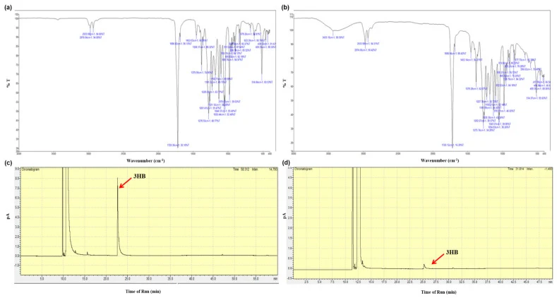 (a) 标准PHB(Sigma-Aldrich)的FTIR光谱;(b) 嗜盐古菌Haloarcula sp. PLQ在补充10 g L⁻¹葡萄糖和1 g L⁻¹酵母提取物的PHA积累培养基中生产的PHB的FTIR光谱;(c) 标准PHB(Sigma-Aldrich)的色谱图;(d) 嗜盐古菌Haloarcula sp. PLQ在补充10 g L⁻¹葡萄糖和1 g L⁻¹酵母提取物的PHA积累培养基中生产的PHB的色谱图。