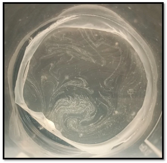 在最优培养条件下,通过溶剂蒸发法由 Haloarcula sp. PLQ 获得的 PHB 薄膜。