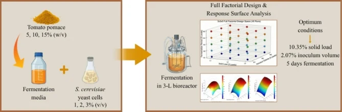 Optimization of fermentation parameters for the valorization
