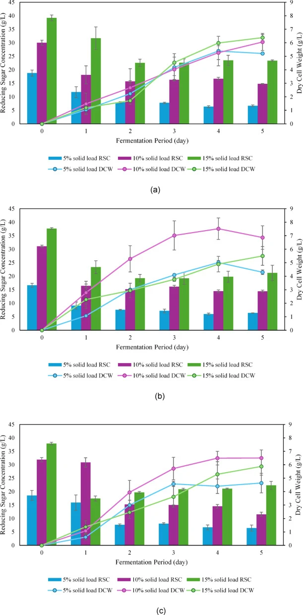 Changes in reducing sugar concentration and dry cell weight during fermentation under different solid loads, at (a) 1%, (b) 2%, and (c) 3% (v/v) inoculum volume