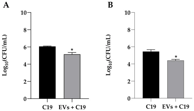Effect of the K. marxianus EVs on adhesion ( A ) and invasion ( B ) of C. albicans C19 to A-431 epithelial cells. Data are presented as the mean ± SD of three independent experiments performed in triplicate. * p < 0.05 (t-test).