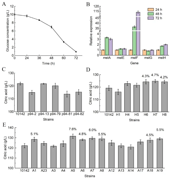 Transcriptional analysis of high-affinity transporters of CGMCC 10142 and citric acid shake flask fermentation experiments of recombinant strains. ( A , B ) correspond to the low-glucose CM medium experiment used to assess transporter transcription. In contrast, ( C – E ) correspond to citric acid s