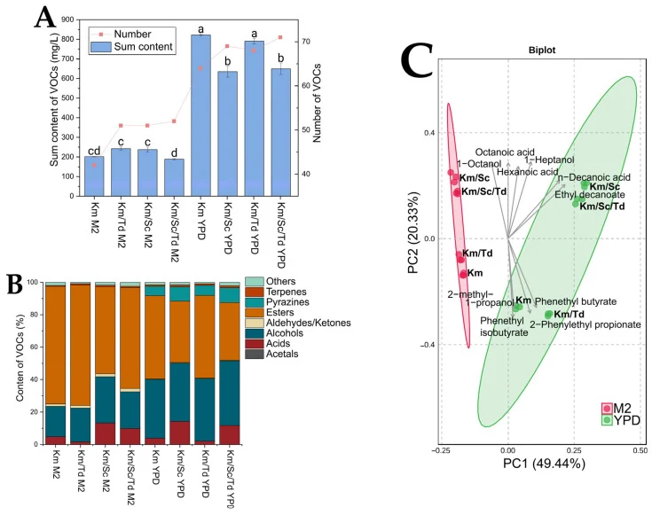 Total concentration and number of compounds produced ( A ), distribution by chemical families ( B ), and main component analysis ( C ) of volatile compounds at 24 h of fermentation. Different letters indicate significant differences (Tukey test, p < 0.05).