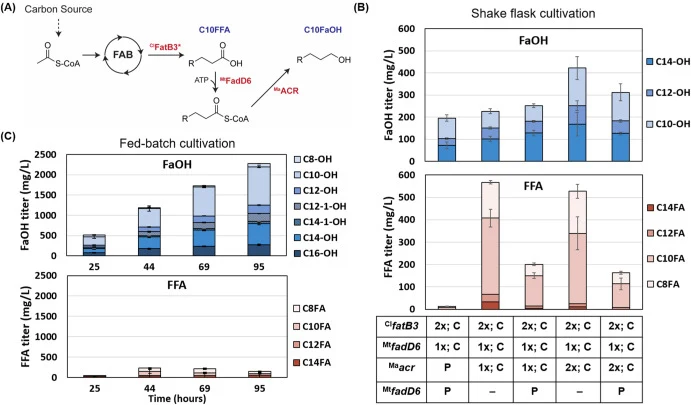 Tuning fatty alcohol pathway gene expression for fatty alcohol production in shake flasks. (A) Schematic representation of decanol biosynthesis pathway. Cl fatB3-tr-D10S (Cl fatB3∗) is the C10-chain length specific thioestaerase, Mt fadD6 is acyl-CoA synthetase from Mycobacterium tuberculosis and Ma