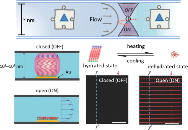 Interface engineering-enabled reconfiguration of compartmentalized functions. Top: concept of switchable nanovalves inte