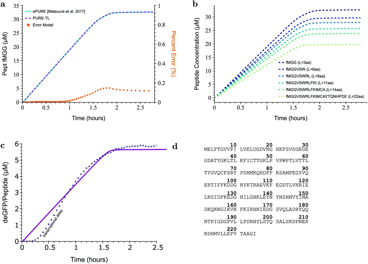 Generalization of the PURE-TL model and comparison against expressed deGFP from RNA. (a) Comparison of the original ePURE-MATLAB model to the PURE-TL model. The PURE-TL model (magenta line) and the ePURE-MATLAB model (cyan line) overlap, and the difference between the models (orange circles) is show