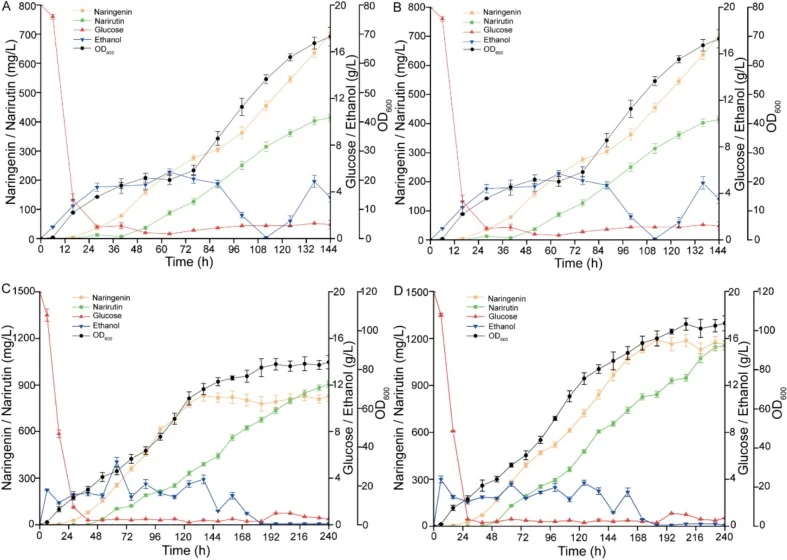 Narirutin production in fed-batch fermentation. (A) Time profiles of glucose, ethanol, cell growth, naringenin, and narirutin concentrations during fed-batch fermentation with dissolved oxygen maintained at 20%. (B) Time profiles of glucose, ethanol, cell growth, naringenin, and narirutin concentrat