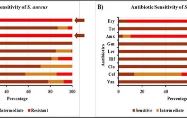 Antibiotic sensitivity test for S. aureus (A) and S. epidermidis (B). Maroon represents sensitive, brown indicates moder