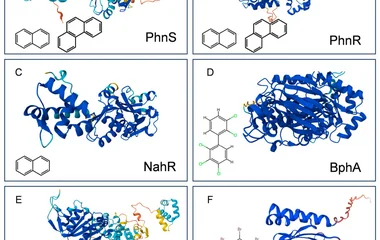 Evolution of Whole-Cell Biosensor Detection Technology for PAHs and Their Haloge