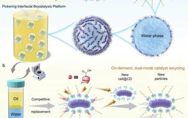 活细胞乳液中的装配线式生物合成：基于可调超分子表面化学