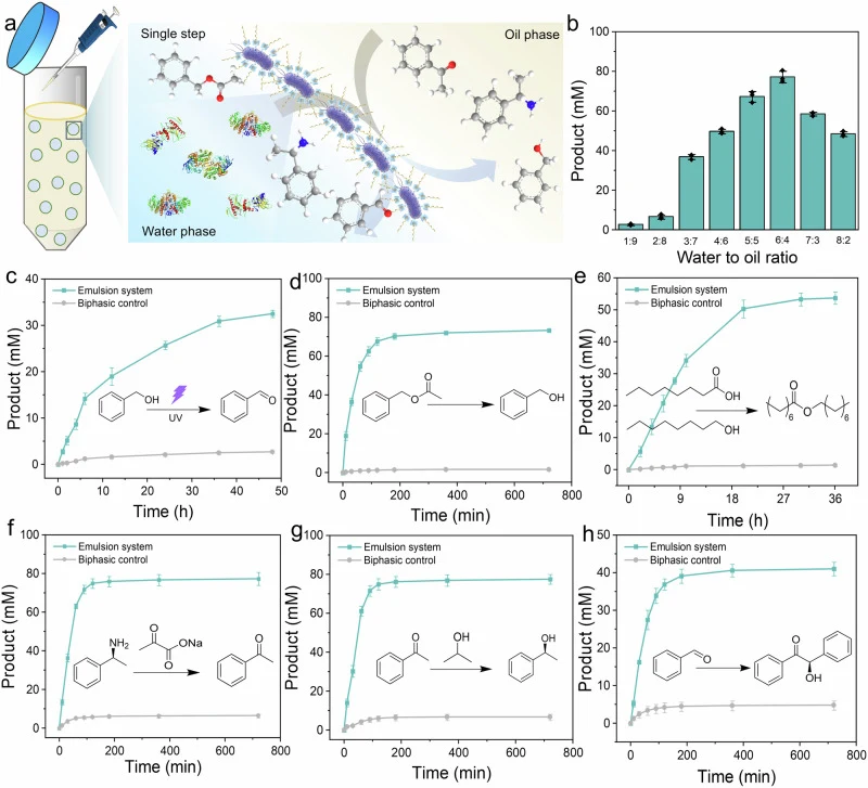 a Visualization of interfacial biocatalytic processes stabilized by cell@OBC. b BAL enzyme activity of emulsions with different water-to-oil ratios. c OBC as a photocatalyst for the conversion of benzyl alcohol to benzaldehyde (green), and the biphasic system was used as a negative control (gray). C