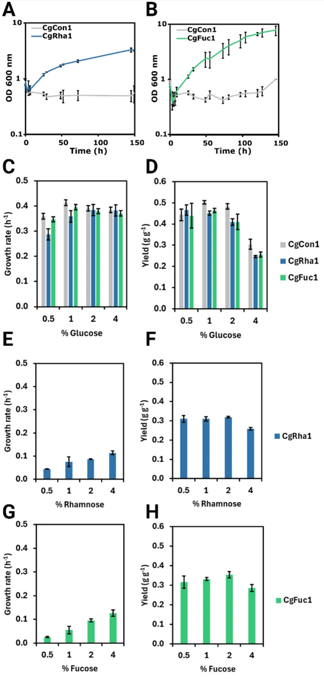 A Growth of C. glutamicum strains CgCon1 (grey line) and CgRha1 (blue line) in 1% l -rhamnose. B Growth of C. glutamicum strains CgCon1 (grey line) and CgFuc1 (green line) in 1% l -fucose. Growth rate (h -1 ) and biomass yield (g g -1 ) of CgCon1 (grey bars), CgRha1 (blue bars), and CgFuc1 (green ba